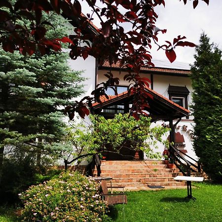 Pensiunea Muntele Rece Bran  Extérieur photo