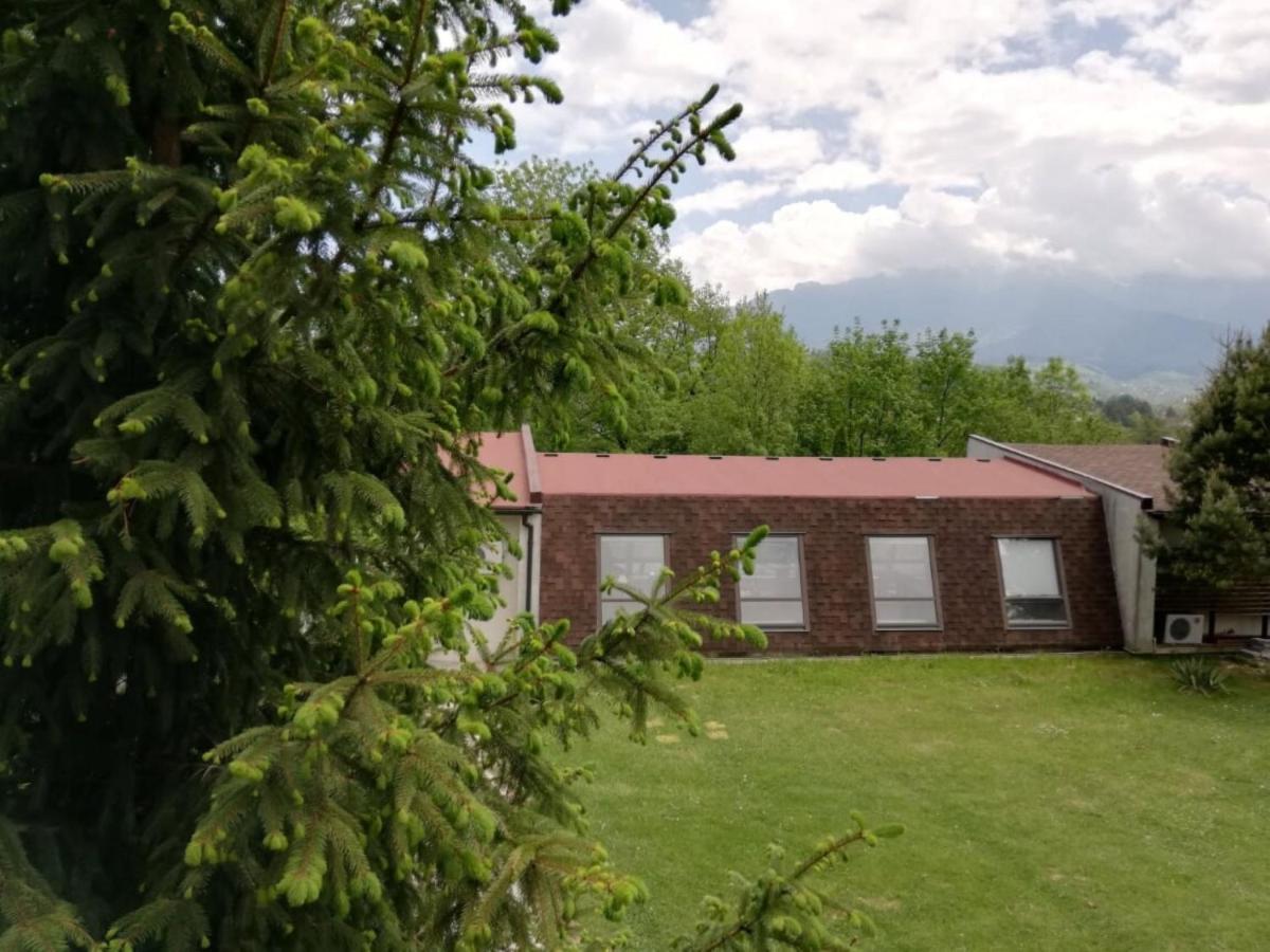 Pensiunea Muntele Rece Bran  Extérieur photo
