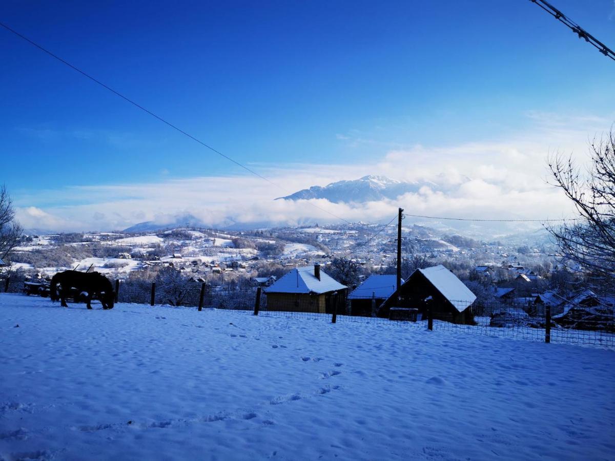 Pensiunea Muntele Rece Bran  Extérieur photo