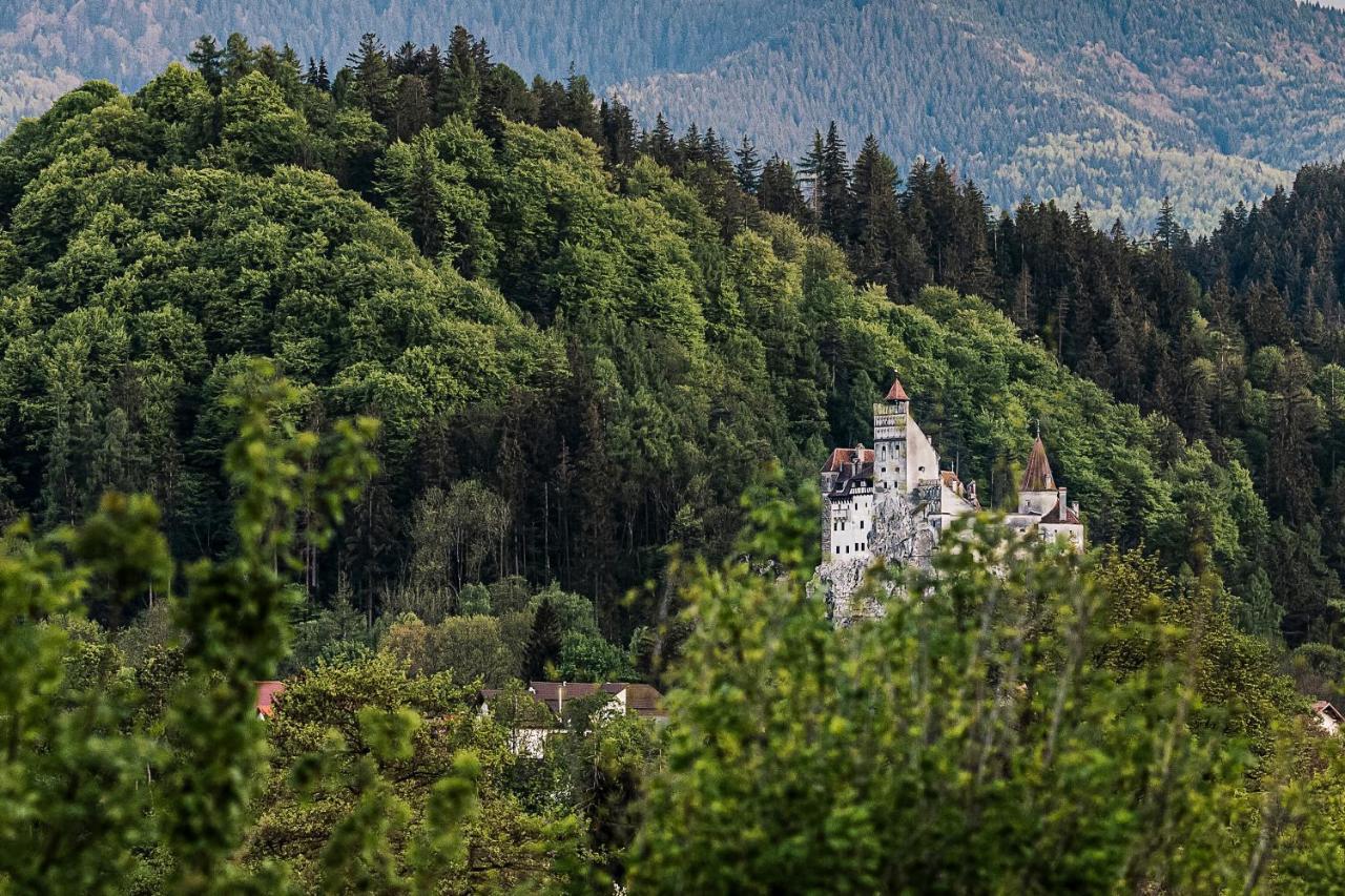 Hotel Pensiunea Muntele Rece à Bran  Extérieur photo