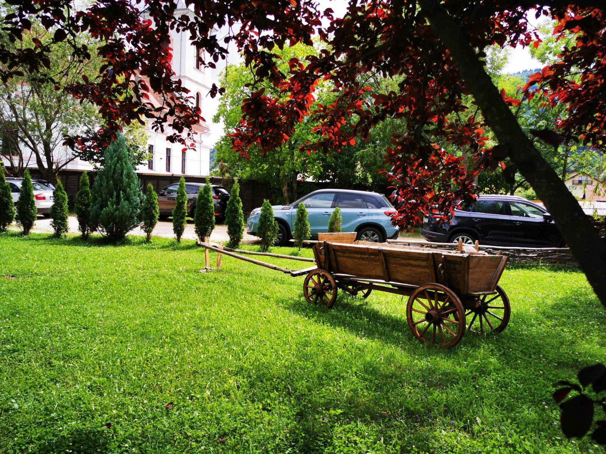 Hotel Pensiunea Muntele Rece à Bran  Extérieur photo